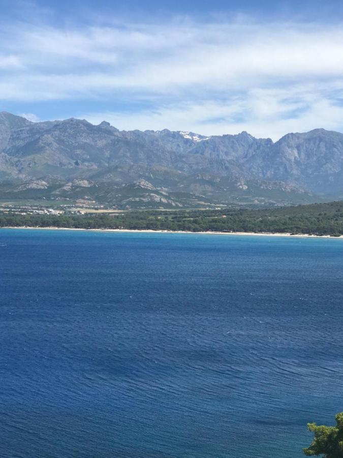 Duplex Renove Les Pieds Dans L'Eau Apartment Calvi  Exterior photo